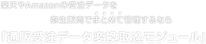 弥生販売で楽天やアマゾンの受注データをインポート